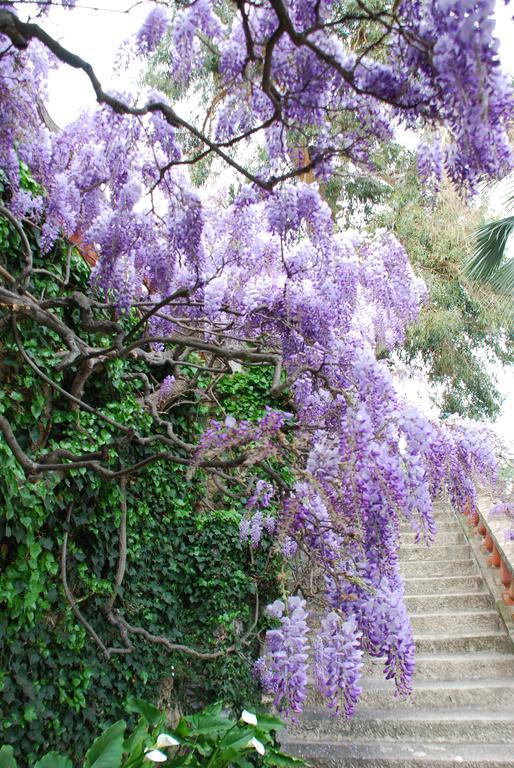 Villa Della Pergola Relais Et Chateaux Alassio Dış mekan fotoğraf