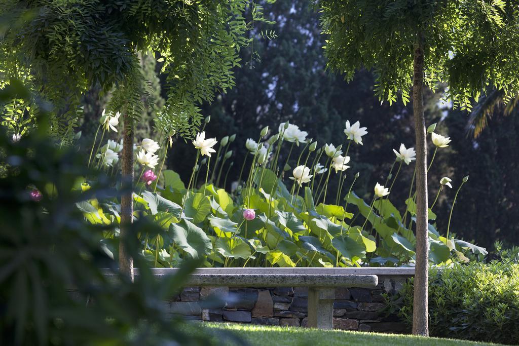 Villa Della Pergola Relais Et Chateaux Alassio Dış mekan fotoğraf