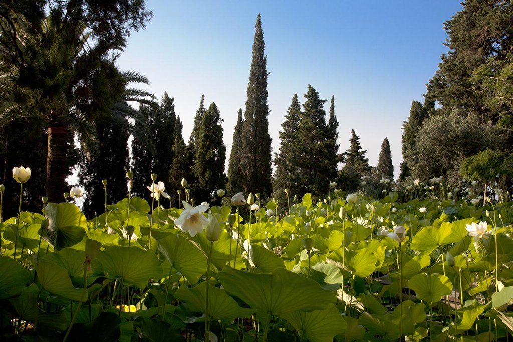 Villa Della Pergola Relais Et Chateaux Alassio Dış mekan fotoğraf